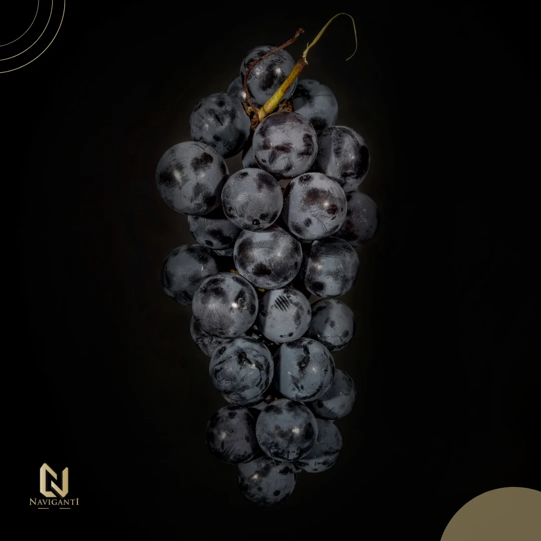Высококачественная итальянская бутылка Красного вина 0 75 Montepulciano D Abruzzo DOC Alchoolic Drink Gran открытие