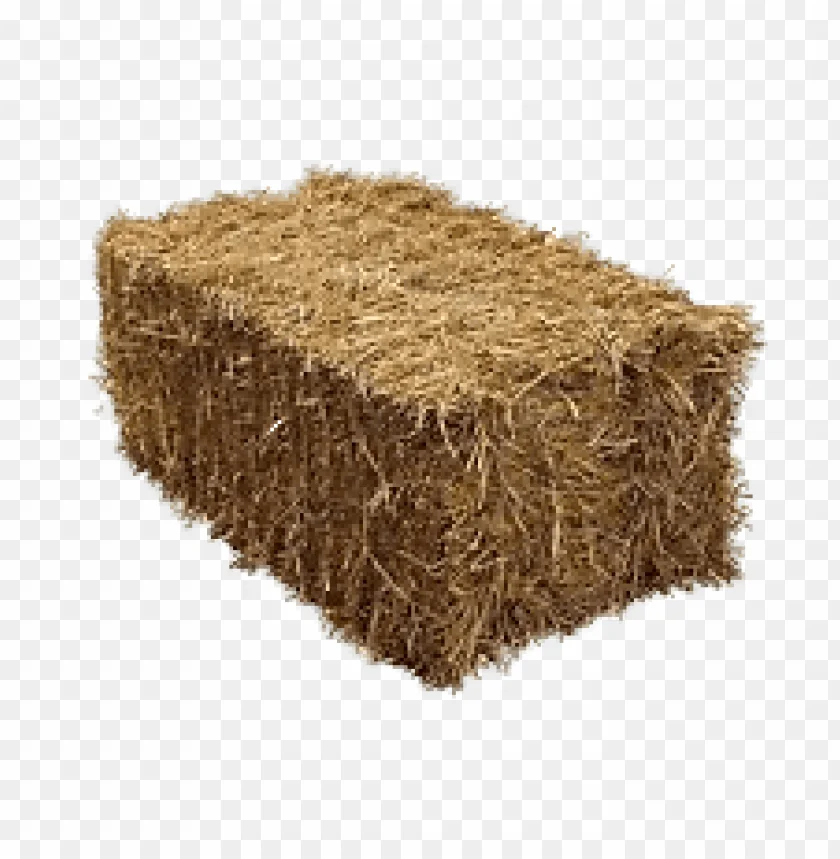Best Factory price premium Quality Animal Feed Alfalfa Hay for sale.