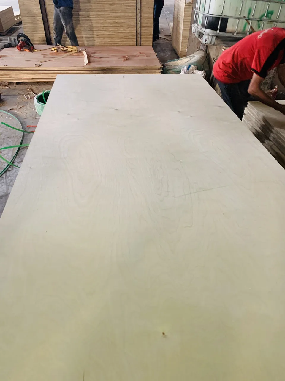  Березовая фанера экспортируемая в США Канаду с использованием клея E0 высокий стандарт