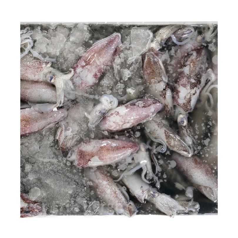 Морская рыба/замороженная морская рыба