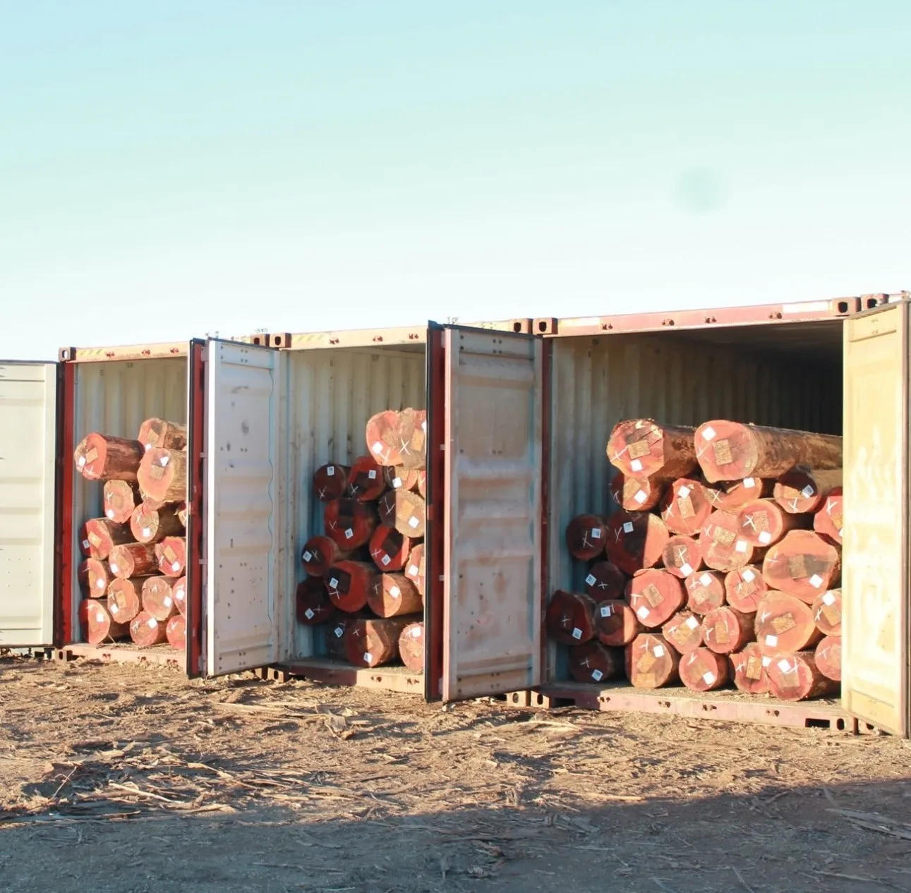 Eucalyptus Hardwood Softwood Round Wood Logs Natural