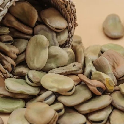 Сушеные Широкие бобы