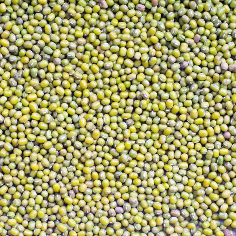 Большая сумка из чистой чечевицы New harvest в наличии