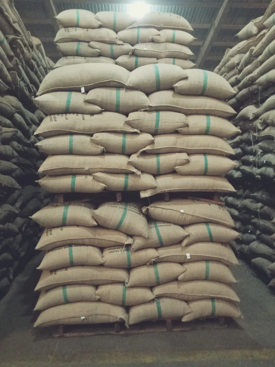 VIETNAM ROBUSTA COFFEE BEANS R1S16, R1S18 CLEANED, WASHED, WET POLISHED FROM DIRECT SUPPLY  FOR EXPORT