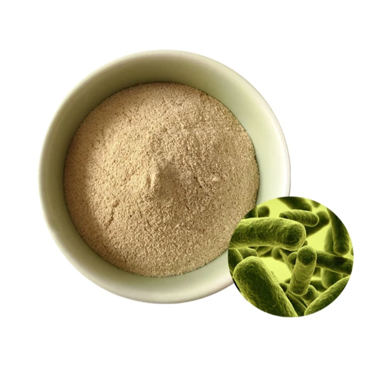 Quality Assurance Lactobacillus Plantarum Food Grade to Help Sleep Lactobacillus Plantarum Probiotics - Zealmax Biopharma