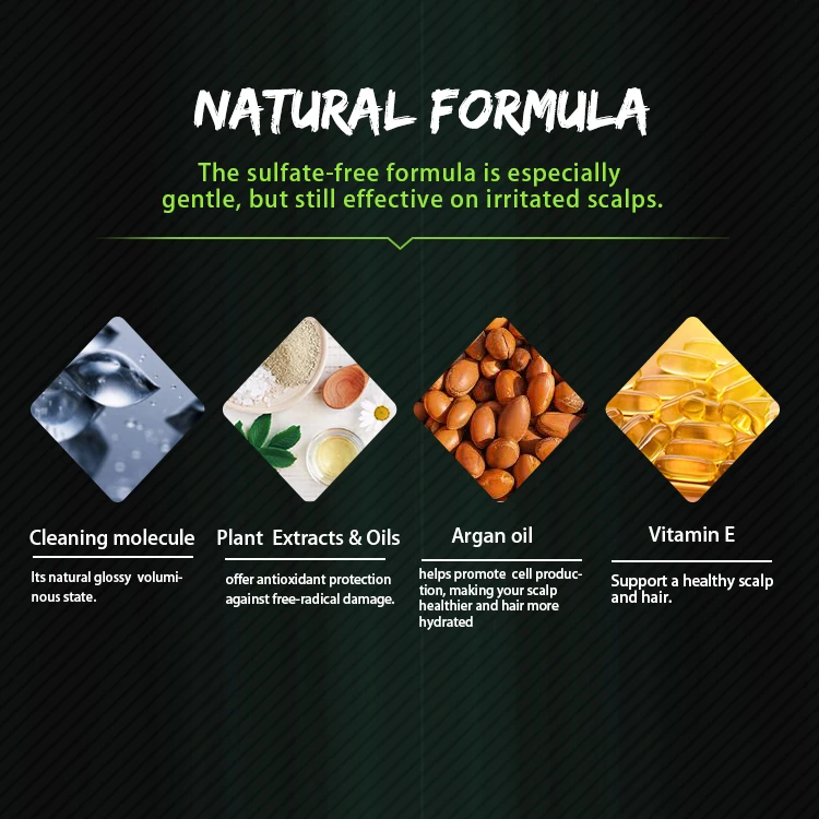 Private Label Custom Best Men Conditioner Anti-Dandruff Natural Hair Loss Organic Argan Oil Shampoo For Hair Care Shampoo Set