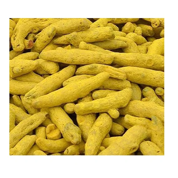 Wholesale Price Dried Turmeric Finger Indian Turmeric Root Extract Curcuma Longa Fingers Manufacturer From India
