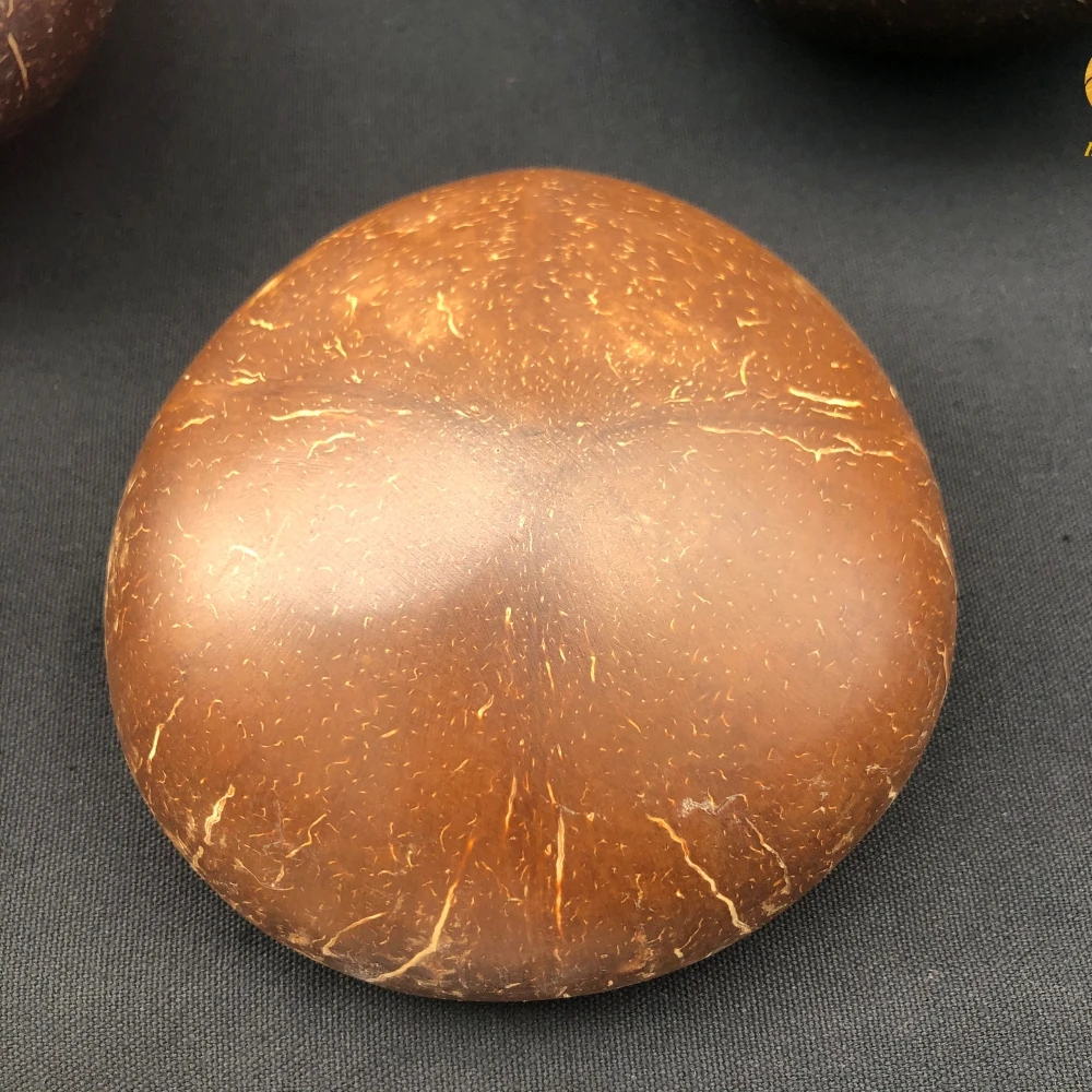 
Natural Coconut Shell Bowl - Decorated With Sea Shell In Elephant Pattern- OEM/ODM- Small Order Accepted- Lacquer Seashell Bowl 