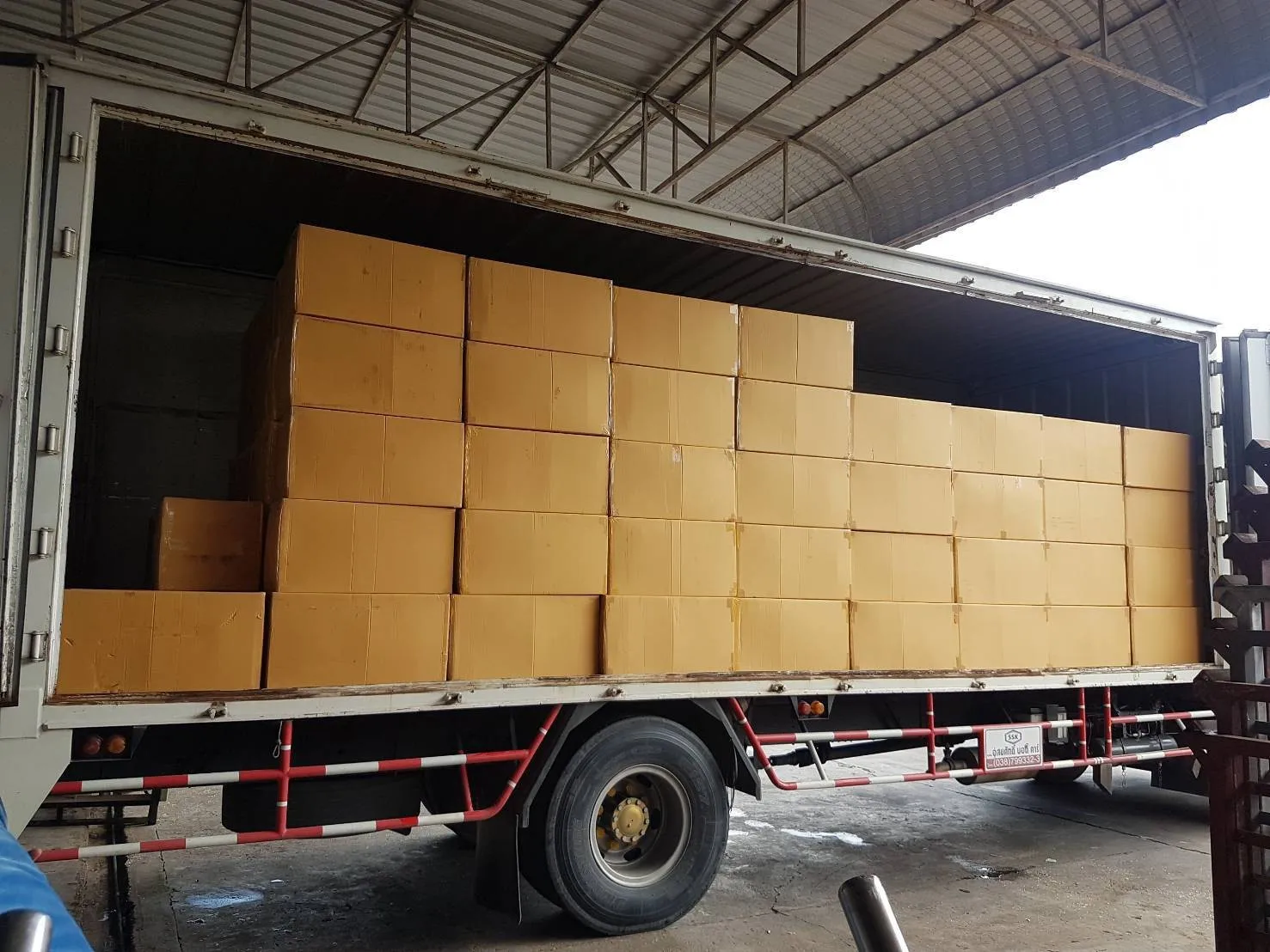 Mango Freeze Dried Best seller from Thailand