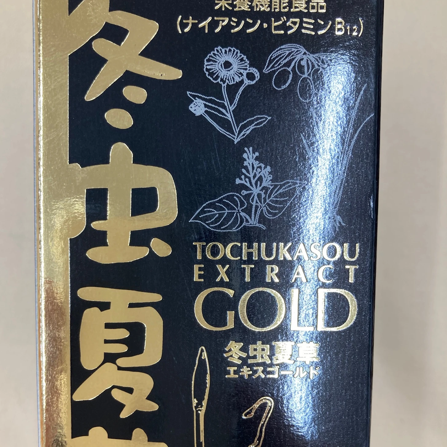 Health care supplement, Cordyceps sinensis, Energy Reinforcement