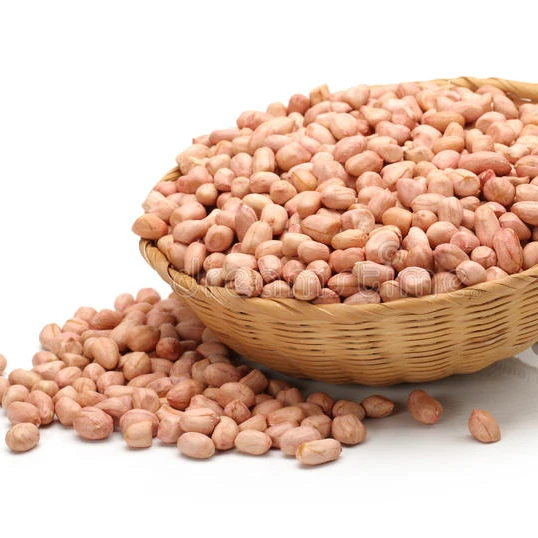New Crop Good Quality Raw / Blanched Peanuts / Groundnuts for Sale