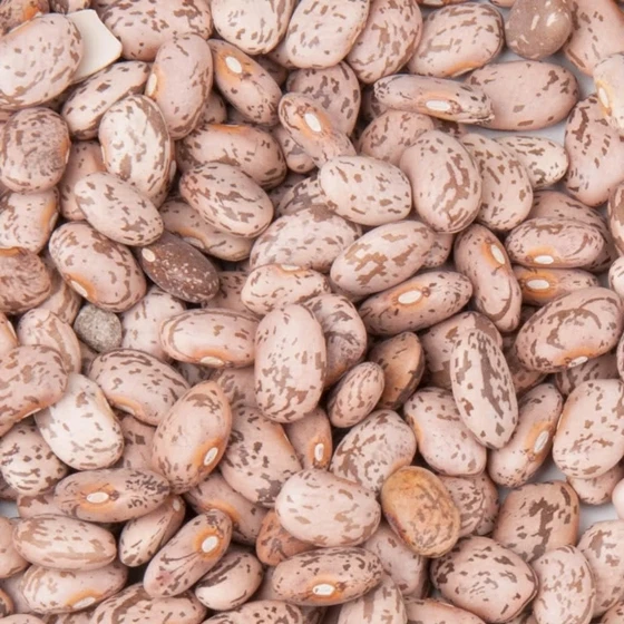 Organic Pinto Beans.jpg