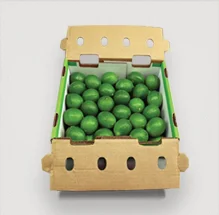 
FRESH LIME/ GREEN LEMON SEEDLESS BEST FRICE HIGH QUALITY FROM VIKAFOODS (WhatsApp/ Wechat: +84 983 028 718) 