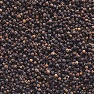  Черный перец цельные прыжки органический/изысканный черный для мельниц. Г-жа Сэнди (+ 84 587 176 063)