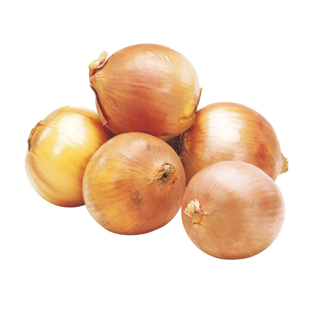 Bulk German No Peeled Fresh Natural Yellow Onion