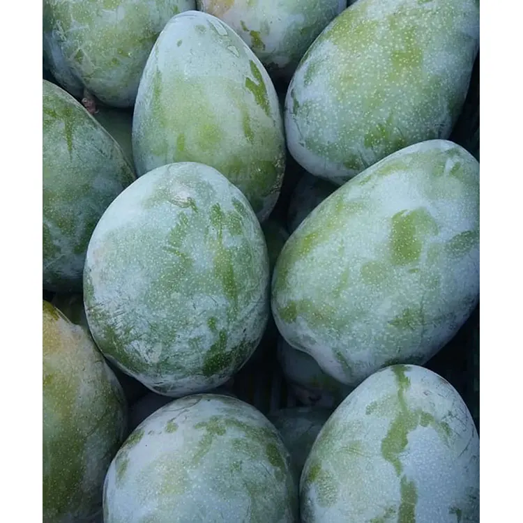  Высококачественное свежее манго премиум-класса от производителя и экспортера из Вьетнама-мисс элаин + 84 375 431 541