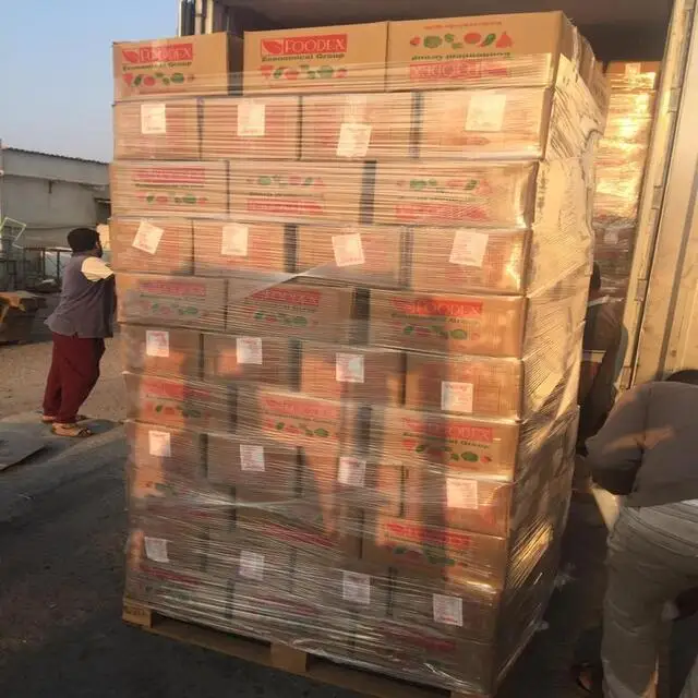 All type of frozen Egyptian Strawberry