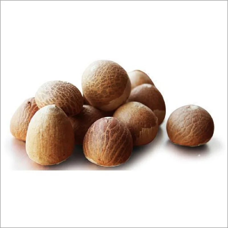 Betel nut/сушеные betel nut/свежие betel из Вьетнама