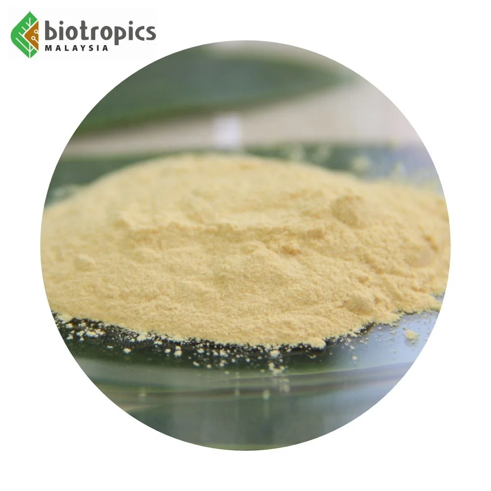 New Tongkat Ali 100% Root Extract Powder from Malaysia Halal Ready to Formulate into Food & Drinks