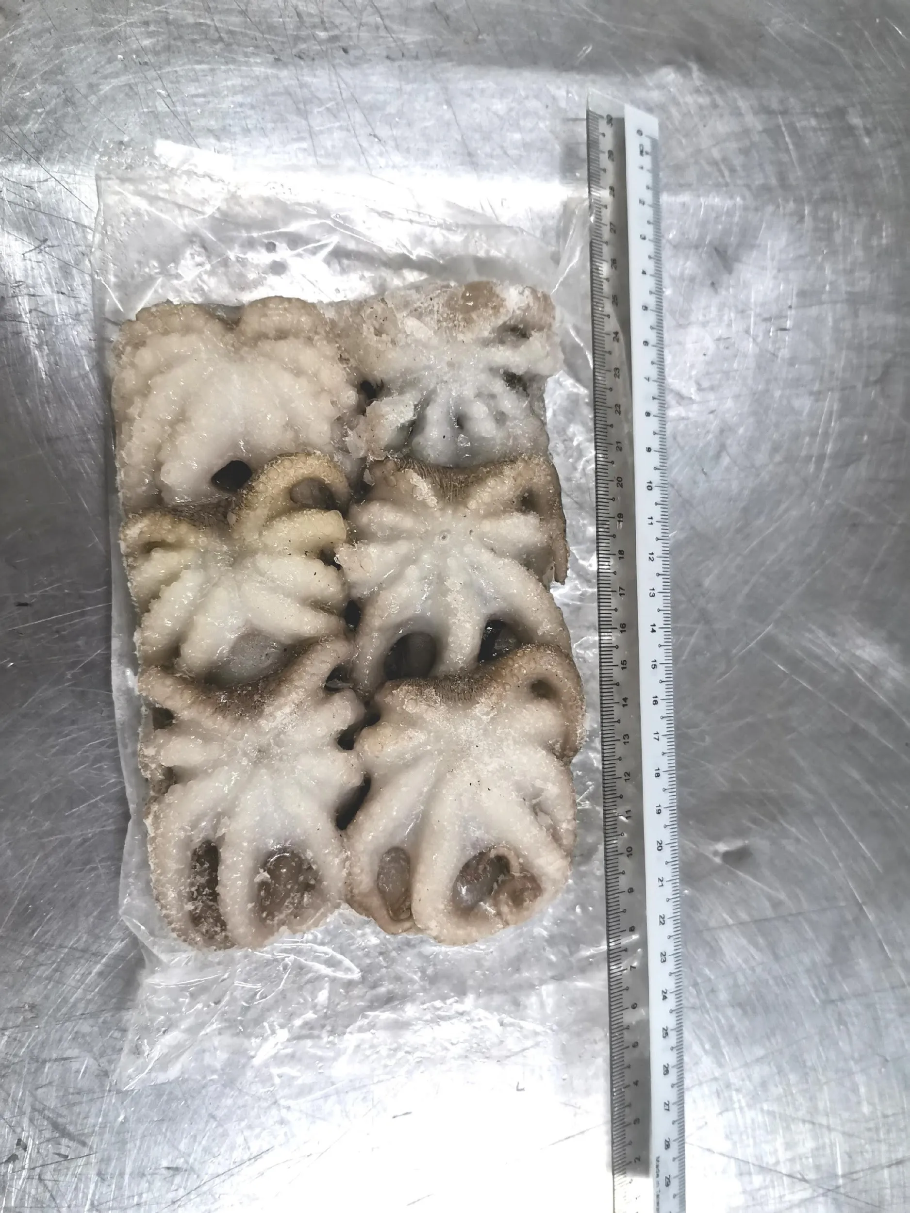 
Malaysia High Quality Seafood Frozen Whole Cleaned Baby Octopus With Cheap Price 