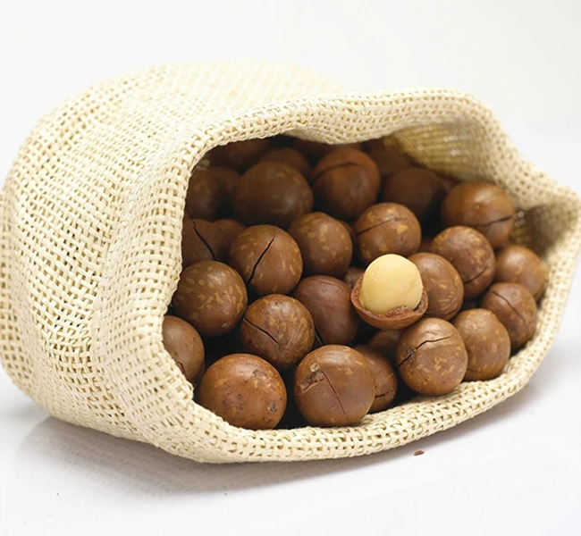 Macadamia Nuts Suppliers/ Shell and shell Macadamia Nuts/Whole Raw Macadamia Nuts