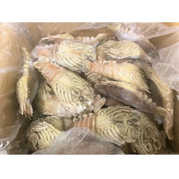 Premium Quality Lobster (200-UP gm/pcs) IQF Bulk Packing 5 kg/ctn Whole Frozen CrayFish From Indonesia