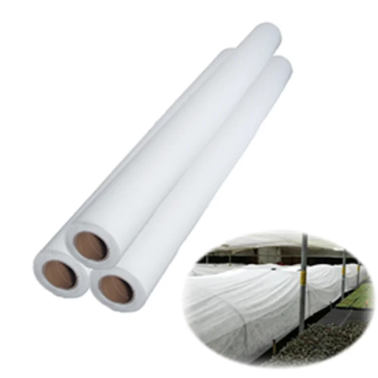 China Hydrophilic Uv-Proof 100% Pp Weed Control Agriculturalcrop Cover Plant Freeze Protection Mat Agriculture Nonwoven Fabric