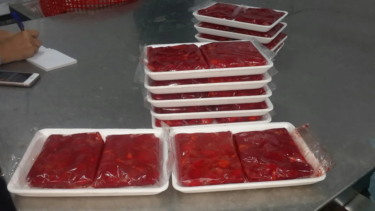 Frozen Gac Fruit puree from Vietnam , Contact +84984418844 whatsapp