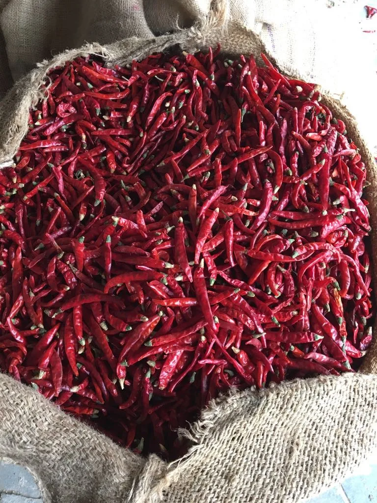 Dried Capsicum
