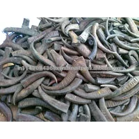 Indian NATURAL Buffalo Horn Solid Tip From 10 cm to 40 cm for Sale Authentic Raw Material Supply Chain