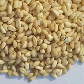 Зерно пшеницы мягкая фрезерная пшеница Твердая