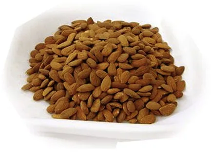 Лучшие ядра абрикоса большое количество низкая цена