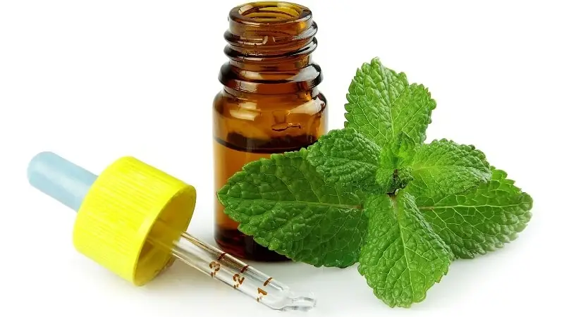 Peppermint Essential Oil for acne scars Cosmetic grade Soap Flavours Factory Sale High Concentration Organic Perfume Oil