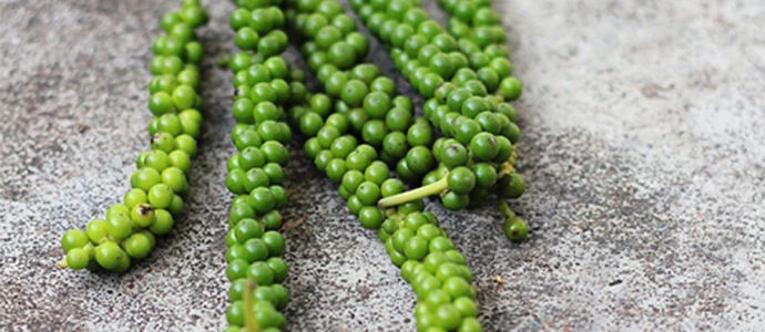 High Quality White Pepper