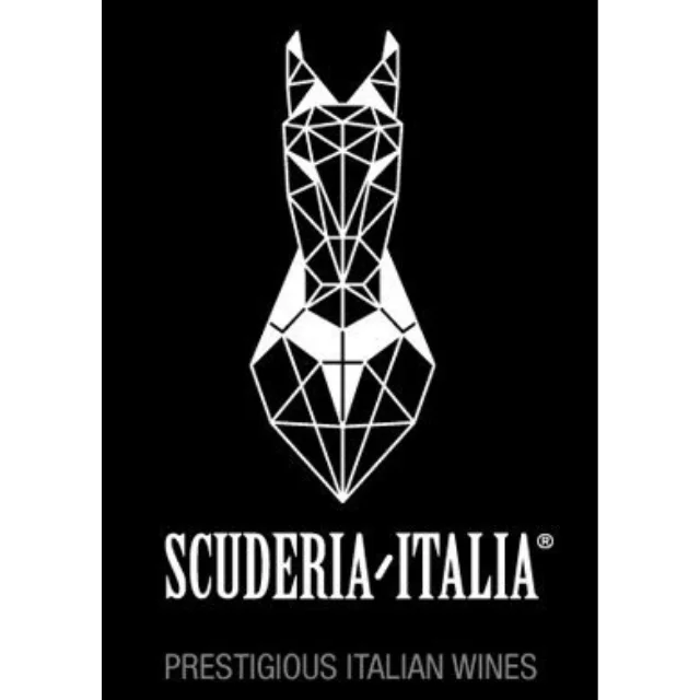 Luxury Italian Red Wine CHIANTI DOCG 2012 Scuderia Italia 0.75L High Quality Product For Special Moment