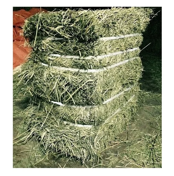 Best Price Of Cattle Feed Timothy Hay Bales  At Low Prices