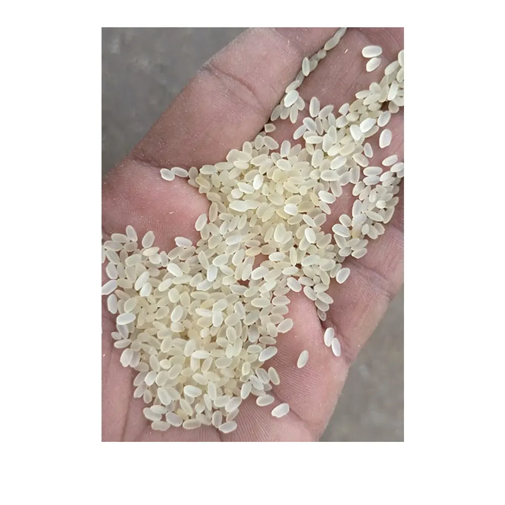 Top Selling New Stock Round Grain or Medium Grain Parbolied Rice 5% Broken Round Rice from India