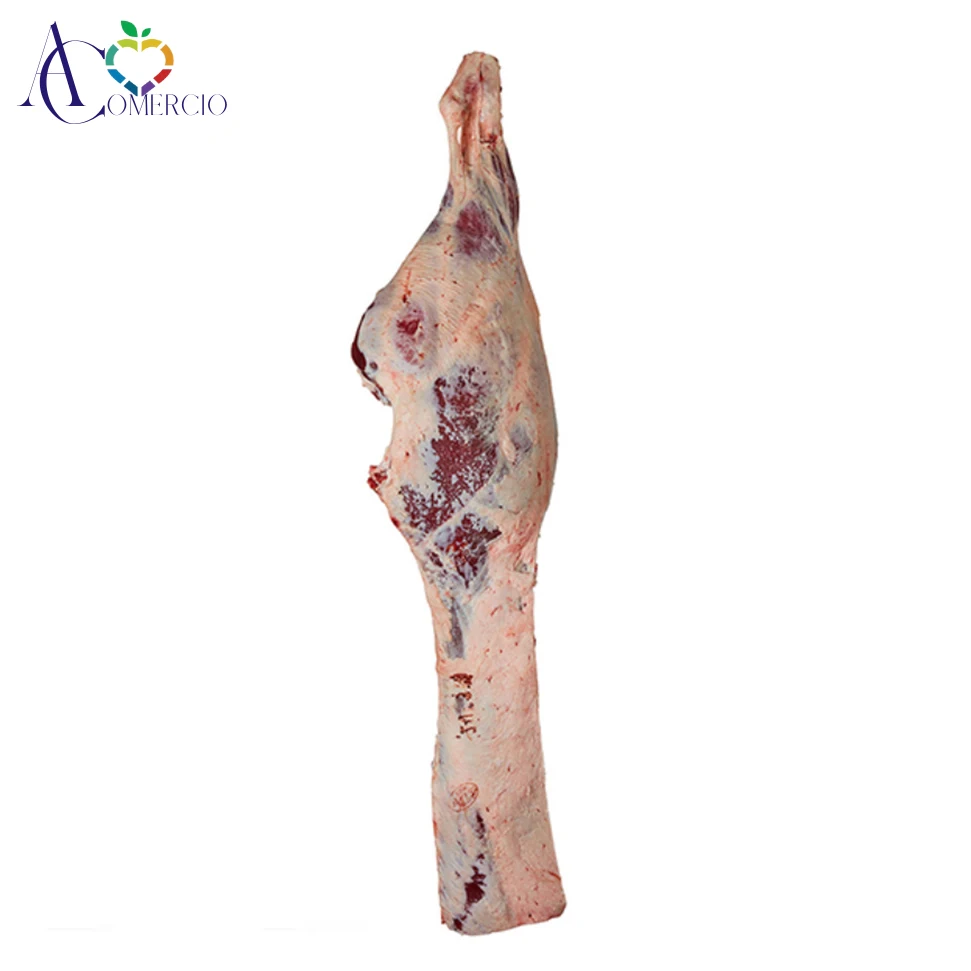 
Frozen Beef Body Carcass Split into 8 Pieces from Argentina 