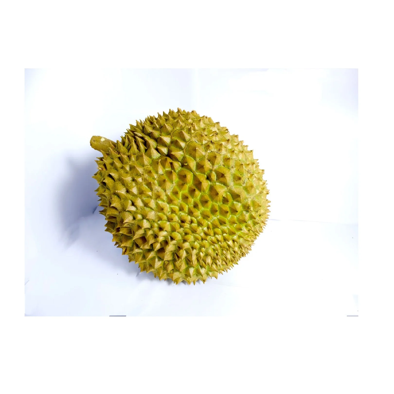 
Best Price Premium Fresh Monthong Thai Durian With Nartural Sweet From O2K And OEM Brand 