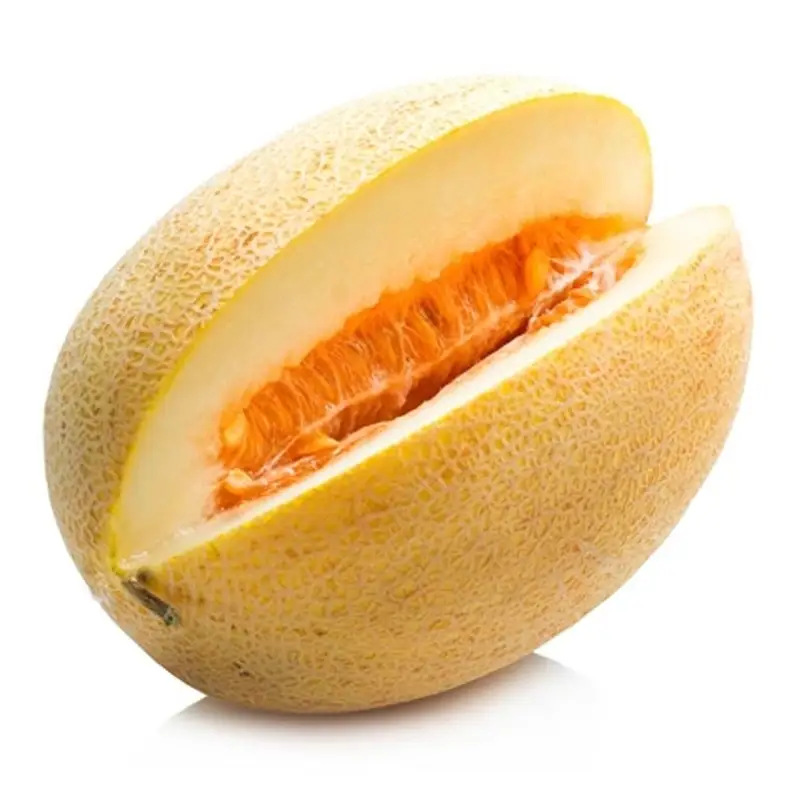 Great quality sweet juicy melons Torpeda melons from Uzbekistan manufacturer wholesale price for export