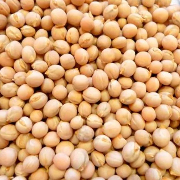 
High Quality Dried Yellow Peas Split Yellow Peas ready for export 