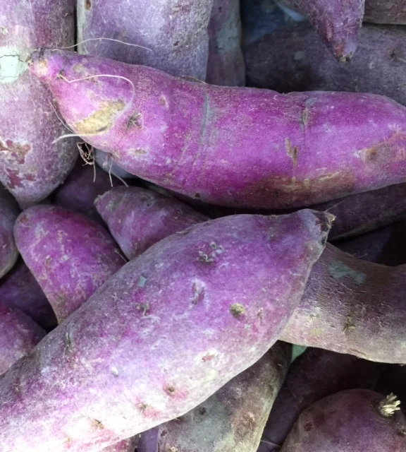 Sweet Potato ( Purple) Cultivation Fresh 100% Maturity Newest Crop Organic Purple Sweet Potato from Viet Nam