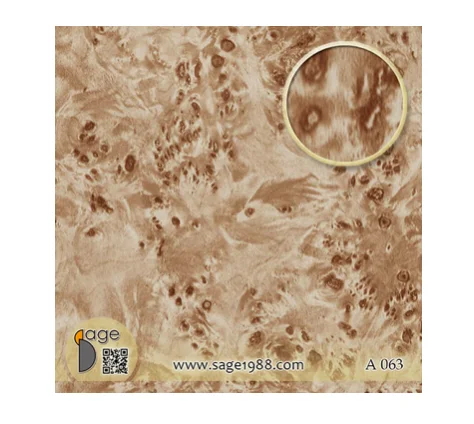 Тайваньская гидрографическая пленка для переноса воды с рисунком Burlwood хорошего качества