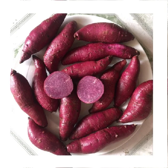 Yellow, purple and red sweet potato pieces to frozen and fried as customized