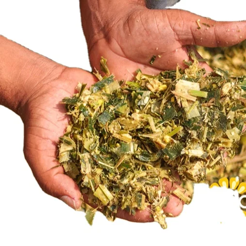 ANIMAL FEED CORN SILAGE BALES/ VIETNAMESE CORN SILAGE