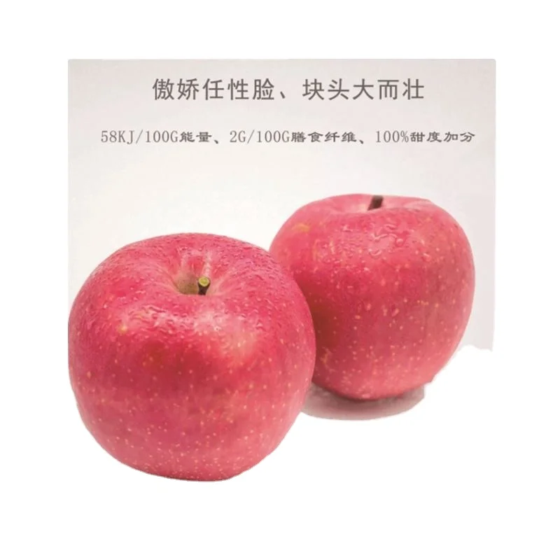China Supplier Fresh Sweet And Delicious Sugar Red Fuji Apple