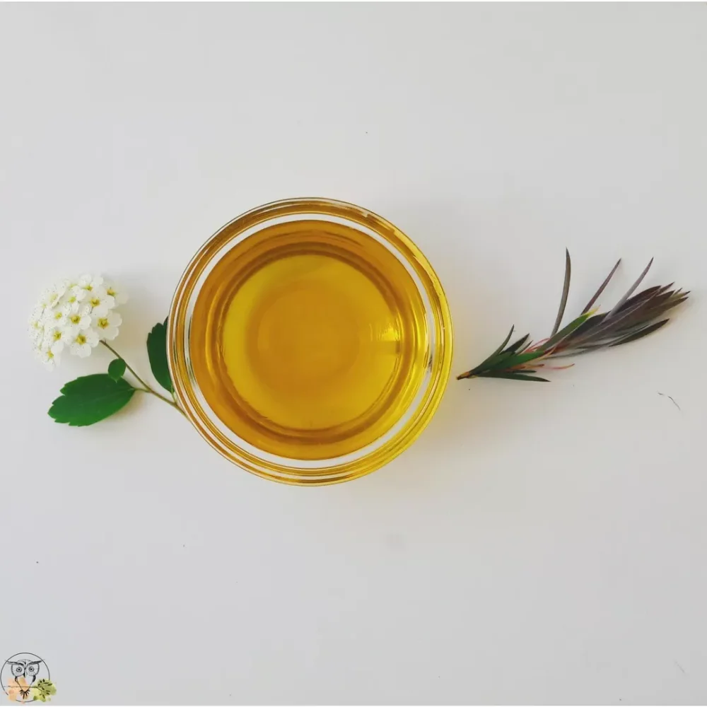 Multiuse Pure & Natural Karanja Seed Oil