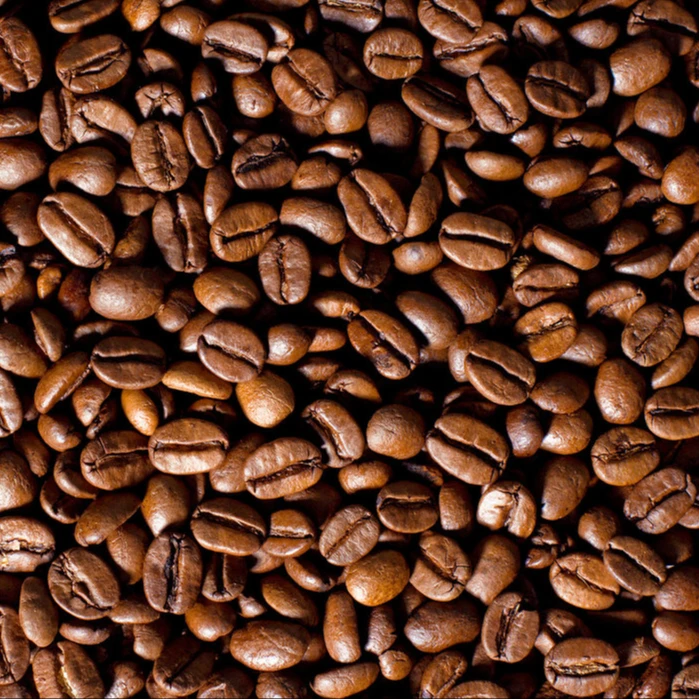 
Coffee Beans Arabica Raw Coffee Beans Directly from The Farm Grade a Unroasted Green Max Rich Bag OEM Time Packaging Jute Weight 