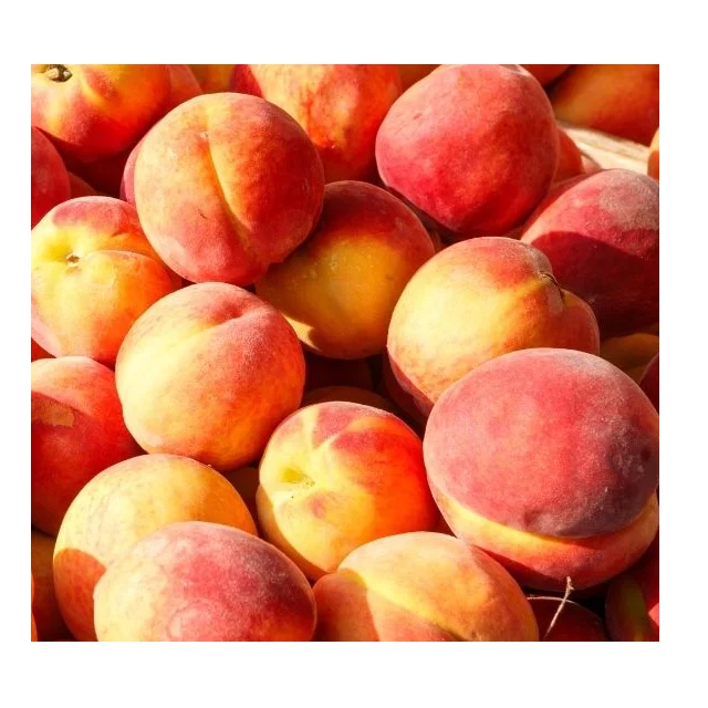 100% натурального пакистанского персики в доступная получения информации об оптовой цене