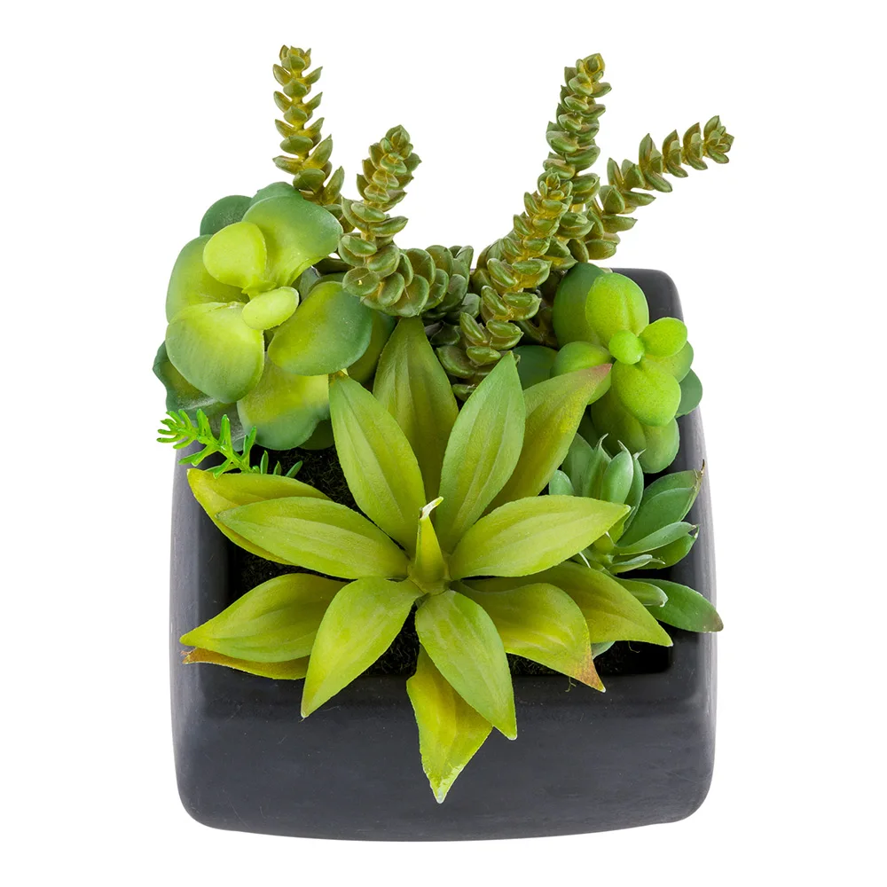 
Plastic Table Art Faux Succulent Arrangement - Tetra Porcelain Planter, Black - 6